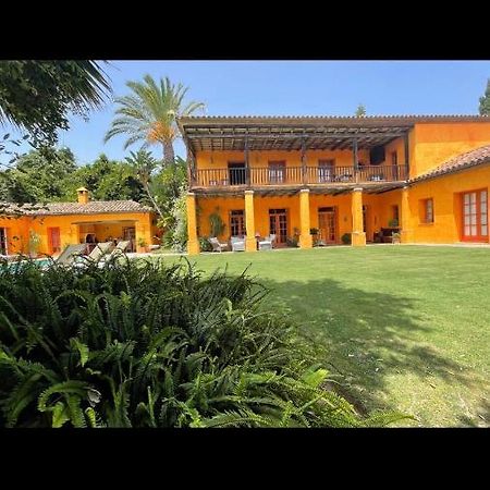 Bed and Breakfast La Dulcinea Sotogrande Esterno foto
